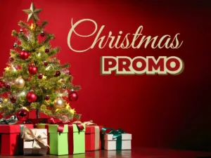 Christmas Promo