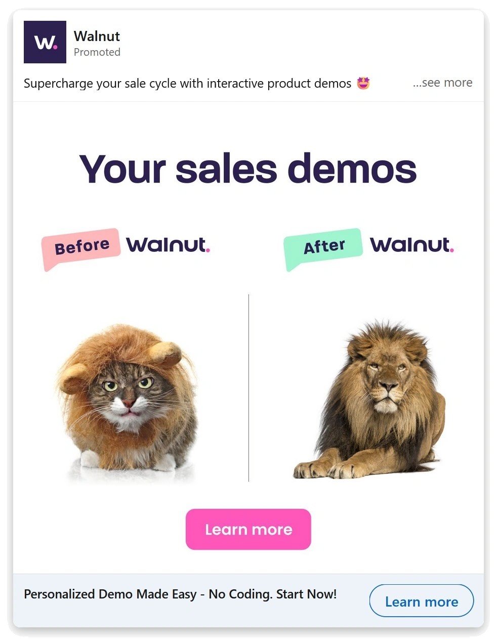 SaaS LinkedIn Ads by Walnut