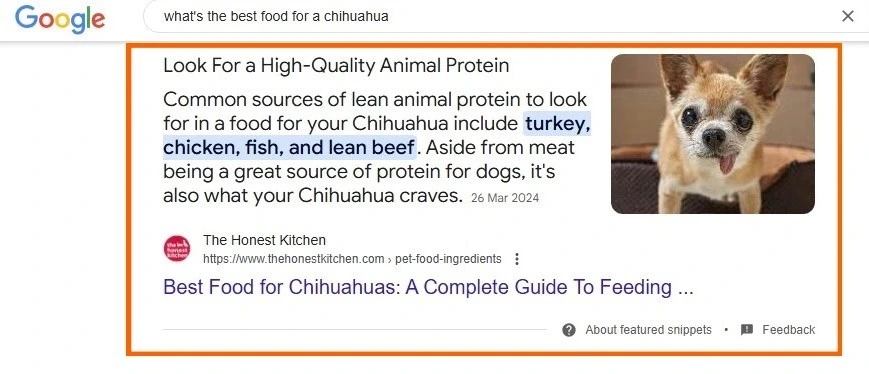 Google search result for phrase “what's the best food for a chihuahua” giving insights on user search intent for SEO strategy optimization