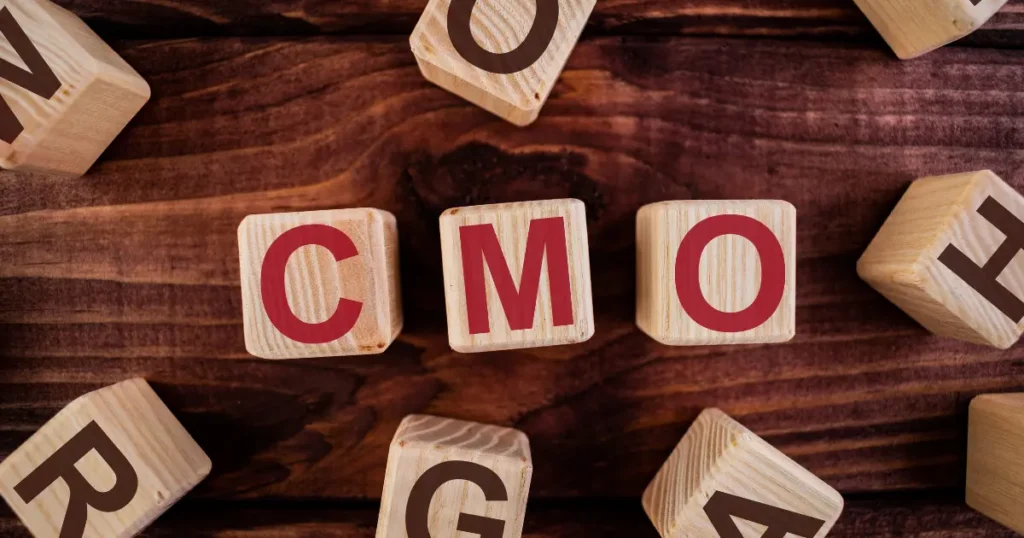 When Hiring an In House CMO Makes More Sense